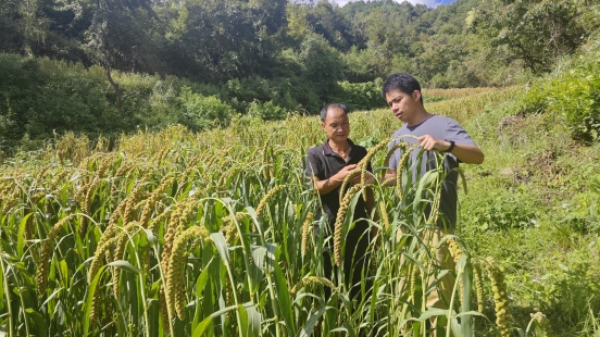 19184b65be815861cb77ce9607f908bb