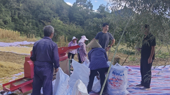 181aff33a2f690162ada5d75ed6e7423