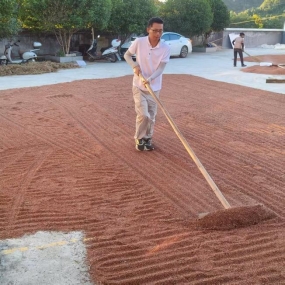 12ae8c0229ae9d95b4a38c67f580fb8b