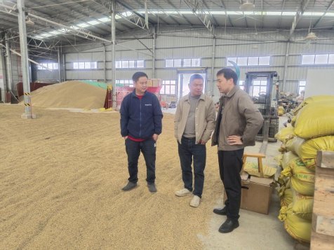 0dd28813dda5eda31c71838281ec1537