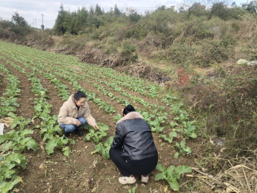 ce00c3e485e05dd88f7611d1c5e85825